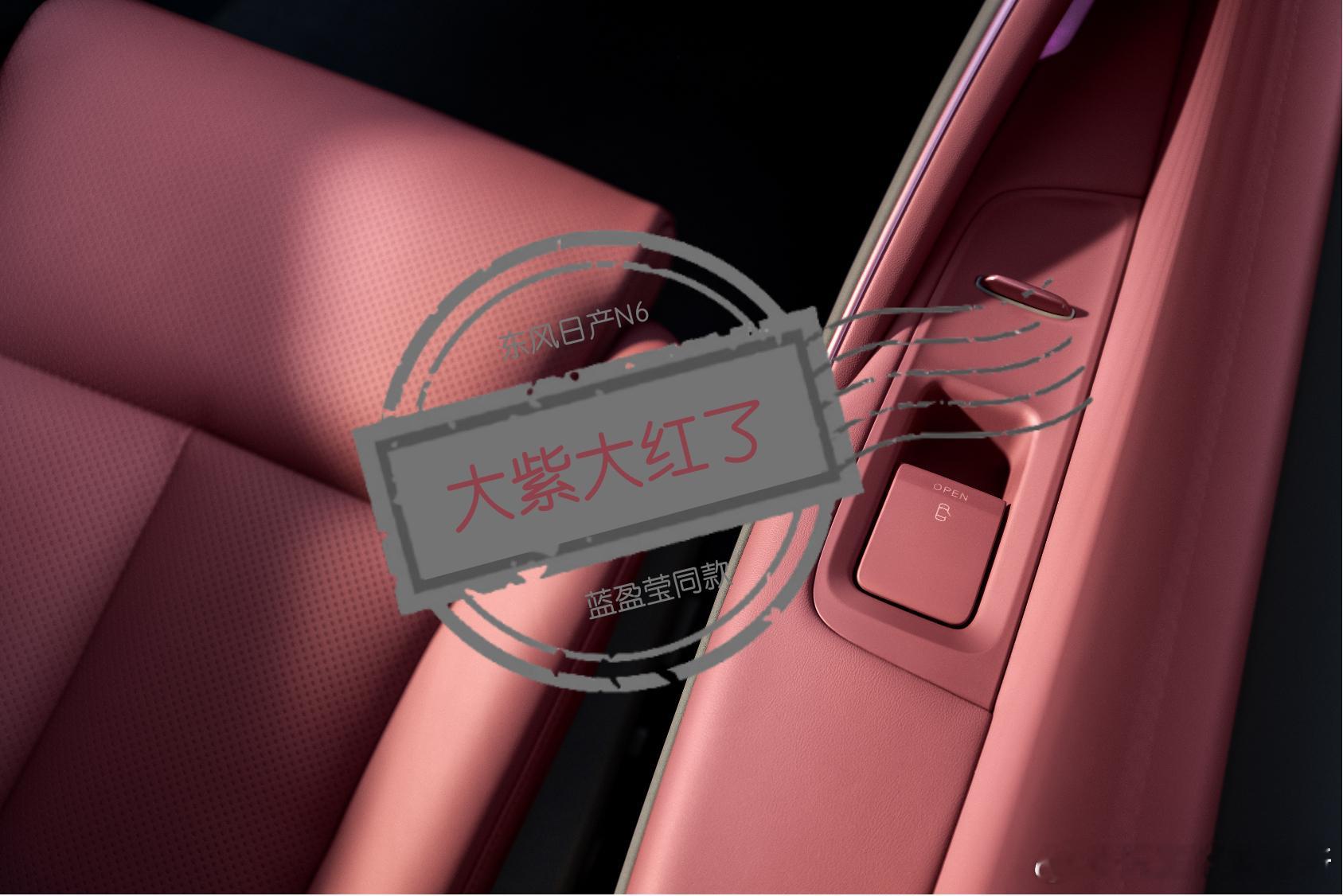蓝盈莹开N6红运当头兄弟们，N6这套“大紫大红”内饰真的太高级了，颜色很“红运”