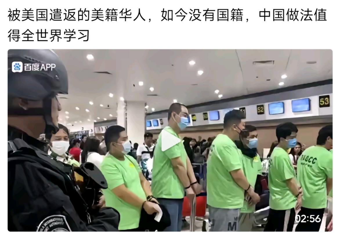 这些被美国遣返回国的游子们真是给家门光宗耀祖了，外国的月亮就比国内圆吗？国内养不