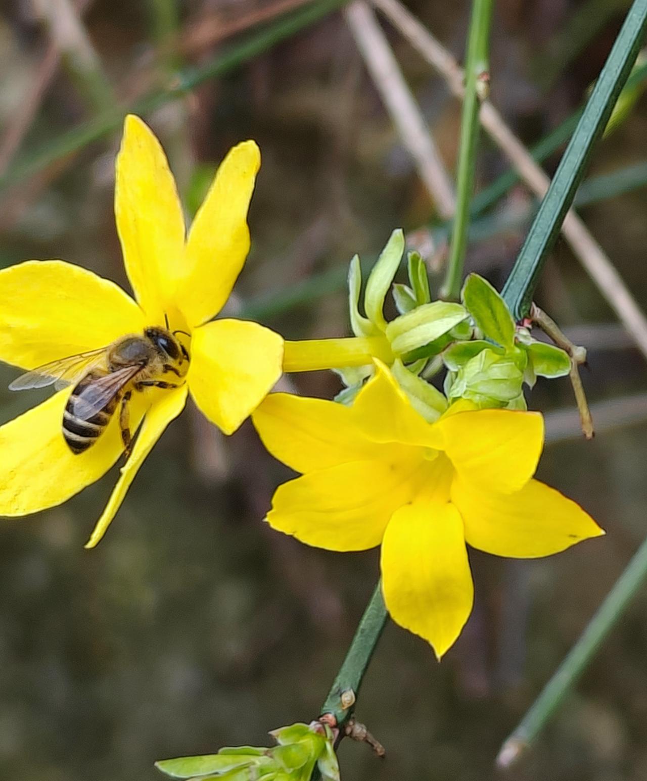 春日生活打卡季