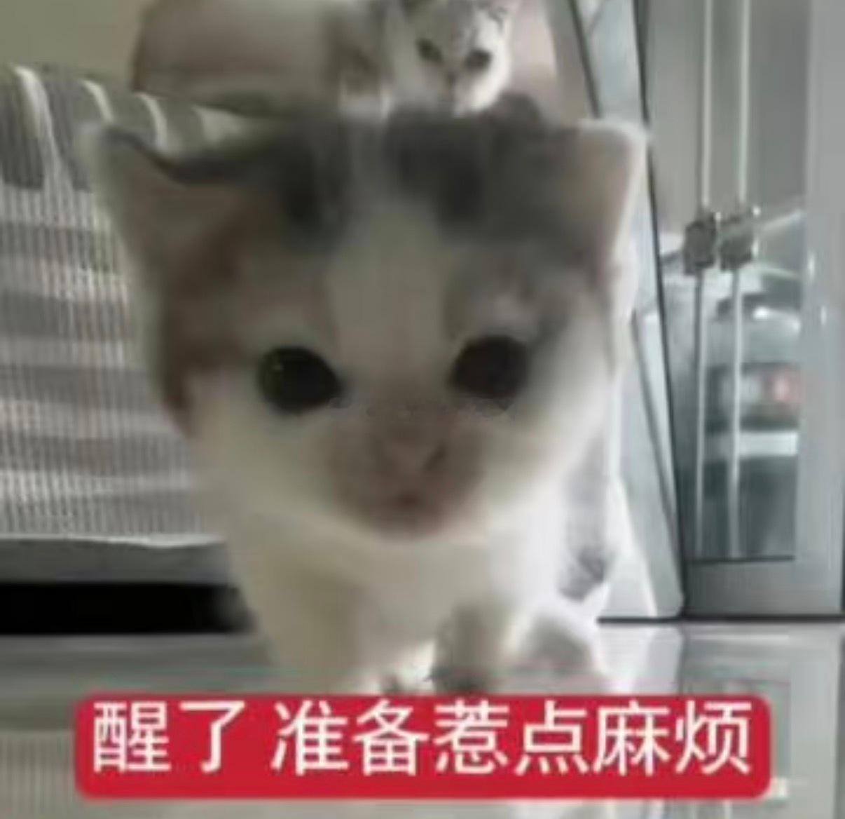 我今天早上又赖床惹所以又和小🐵老师在🛏️上相遇了35分才睁眼的时候我就知道我