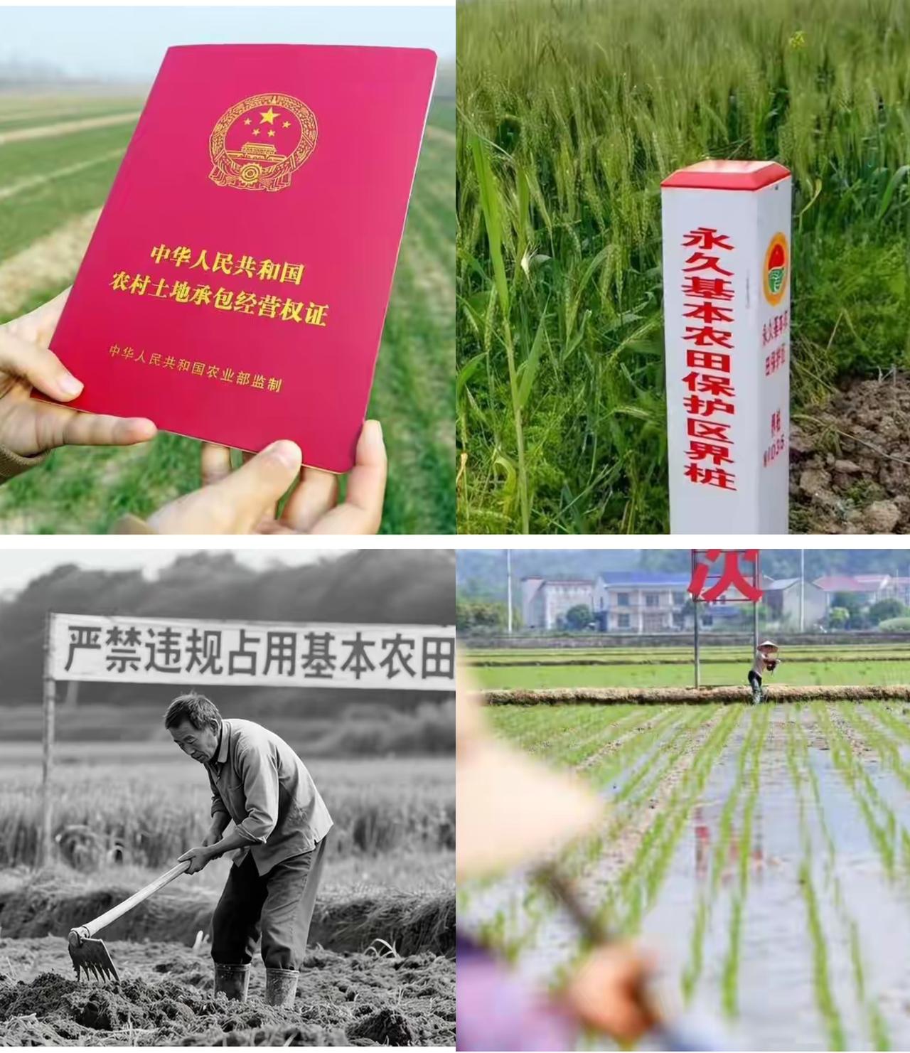 农村的朋友们注意啦！
国家又出台大政策了！10月1日起，《永久基本农田保护红线管