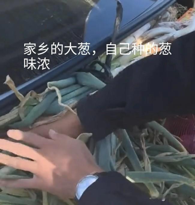 中秋回家一次花了5000元，临走车后备箱装满了大葱、土豆、红薯、2只大公鸡、2条