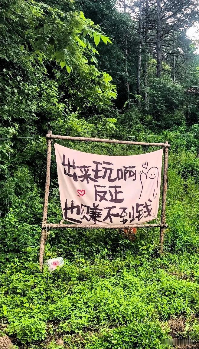 爬山偶遇扎心标语！成年人看完直接破防

今天与朋友去爬山，爬到一半的时候看到了一