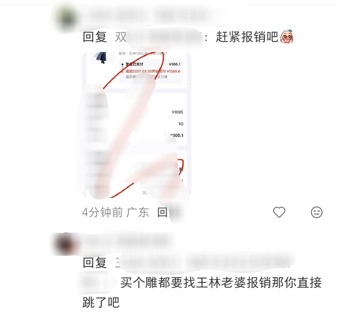 cpg买个王林周边都要找你林唯姐姐报销，是不是已经默认林唯是家里负责帮老公管账的