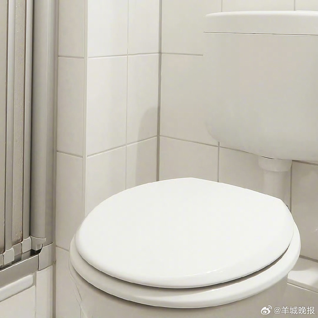 #男子称公厕马桶水箱好用先后偷4个##男子偷4个公厕水箱被刑拘# 广州黄埔一男子