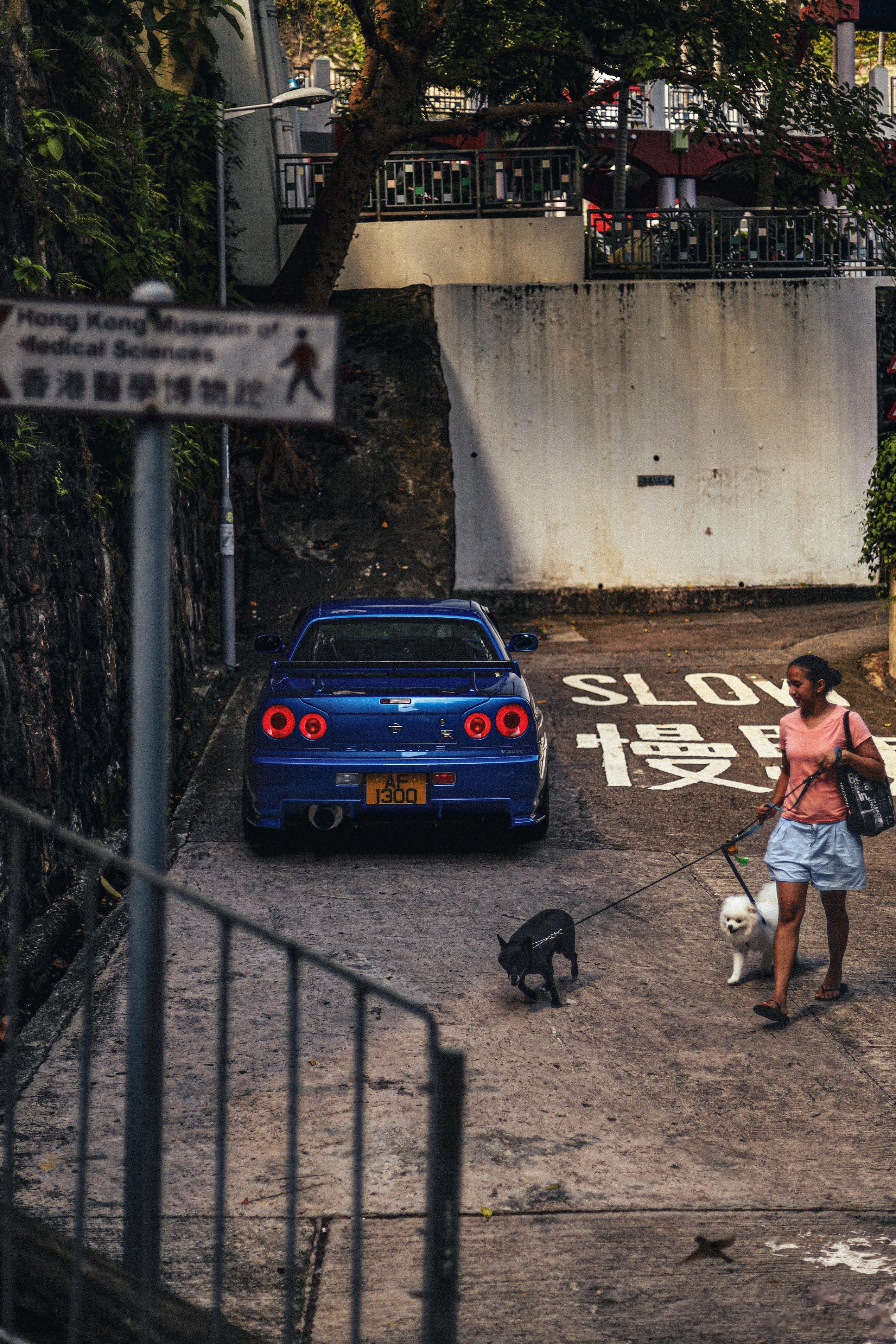 Skyline BNR34 GTRRB26DETT直列六缸，四驱，手动路过的狗狗