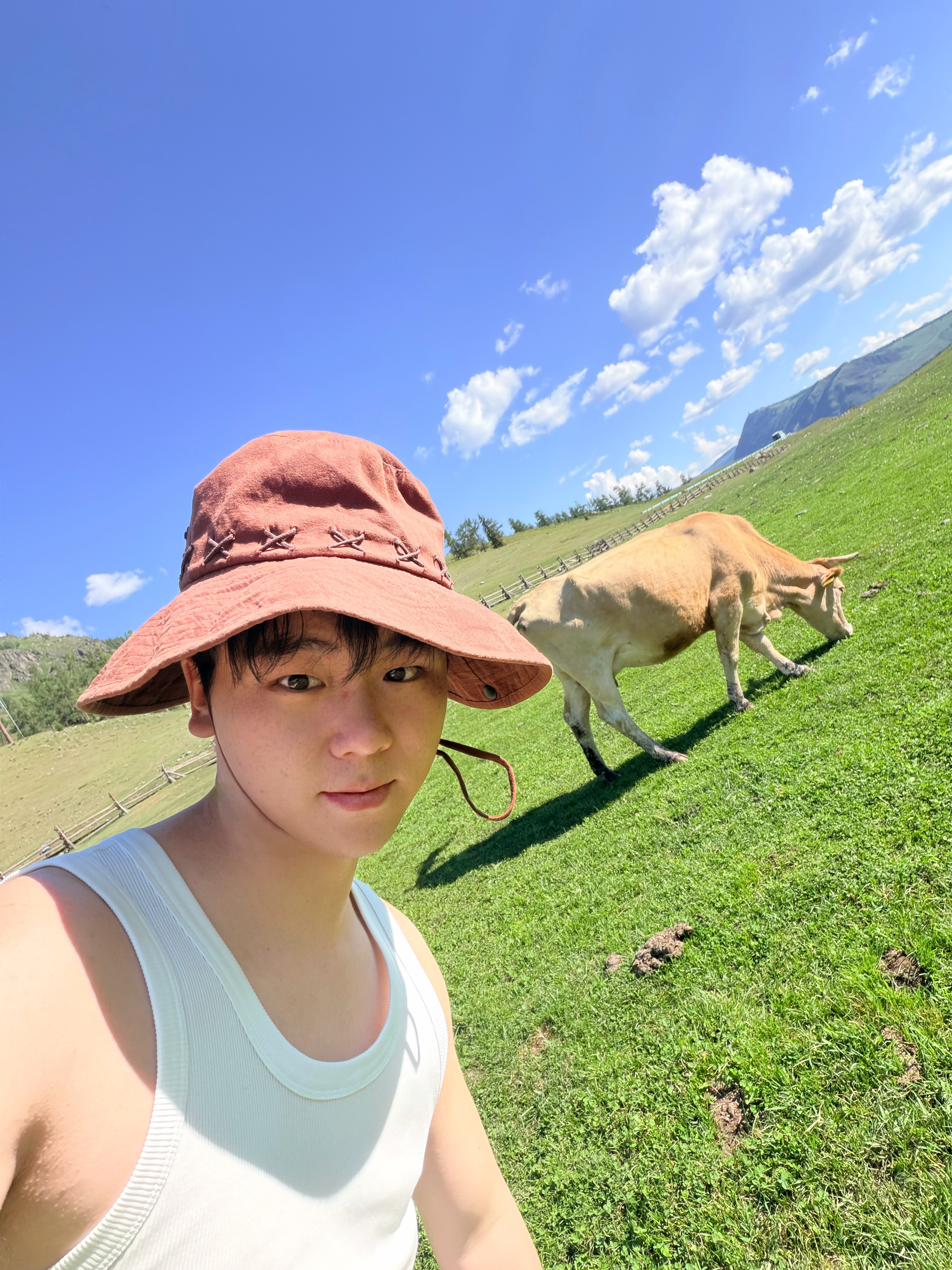 新疆真美呐，你订阅的旅行青蛙又来信啦～ 阿勒泰