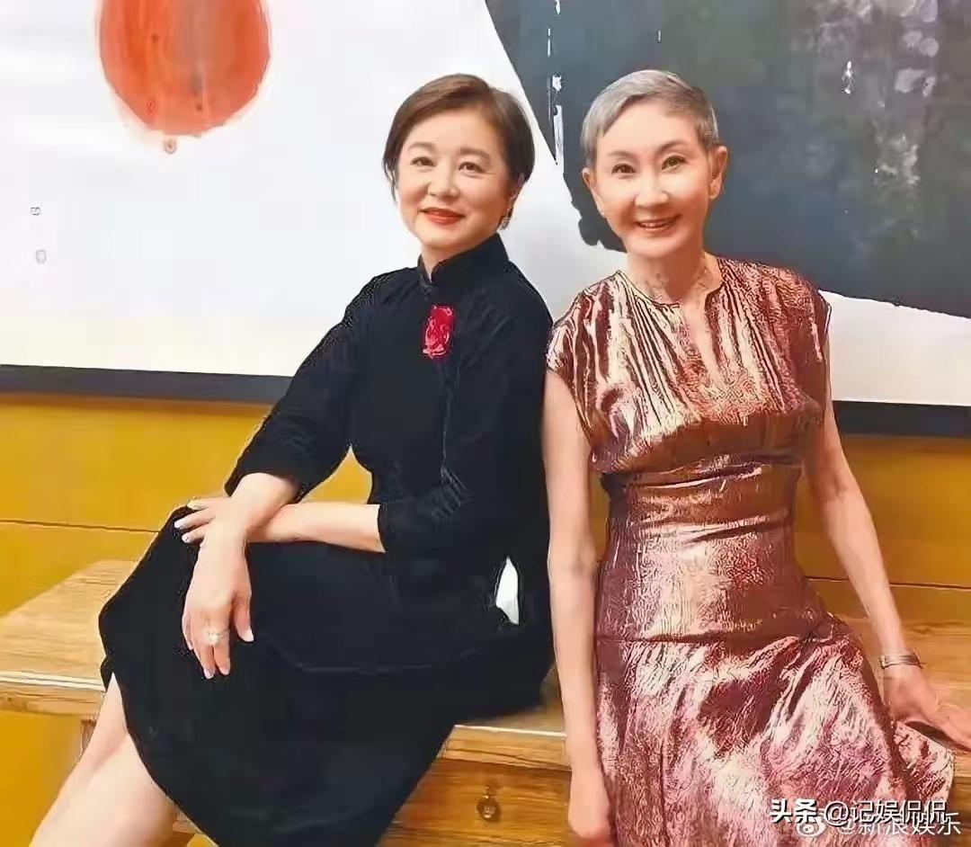 施南生离世之后，网友热议的焦点并没有停留在没有子女打理后事这件事上，大家更加好奇