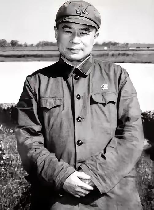 1978年，开国中将王近山病危，临终前，他用尽最后的力气，将未成年的稚嫩小儿子，