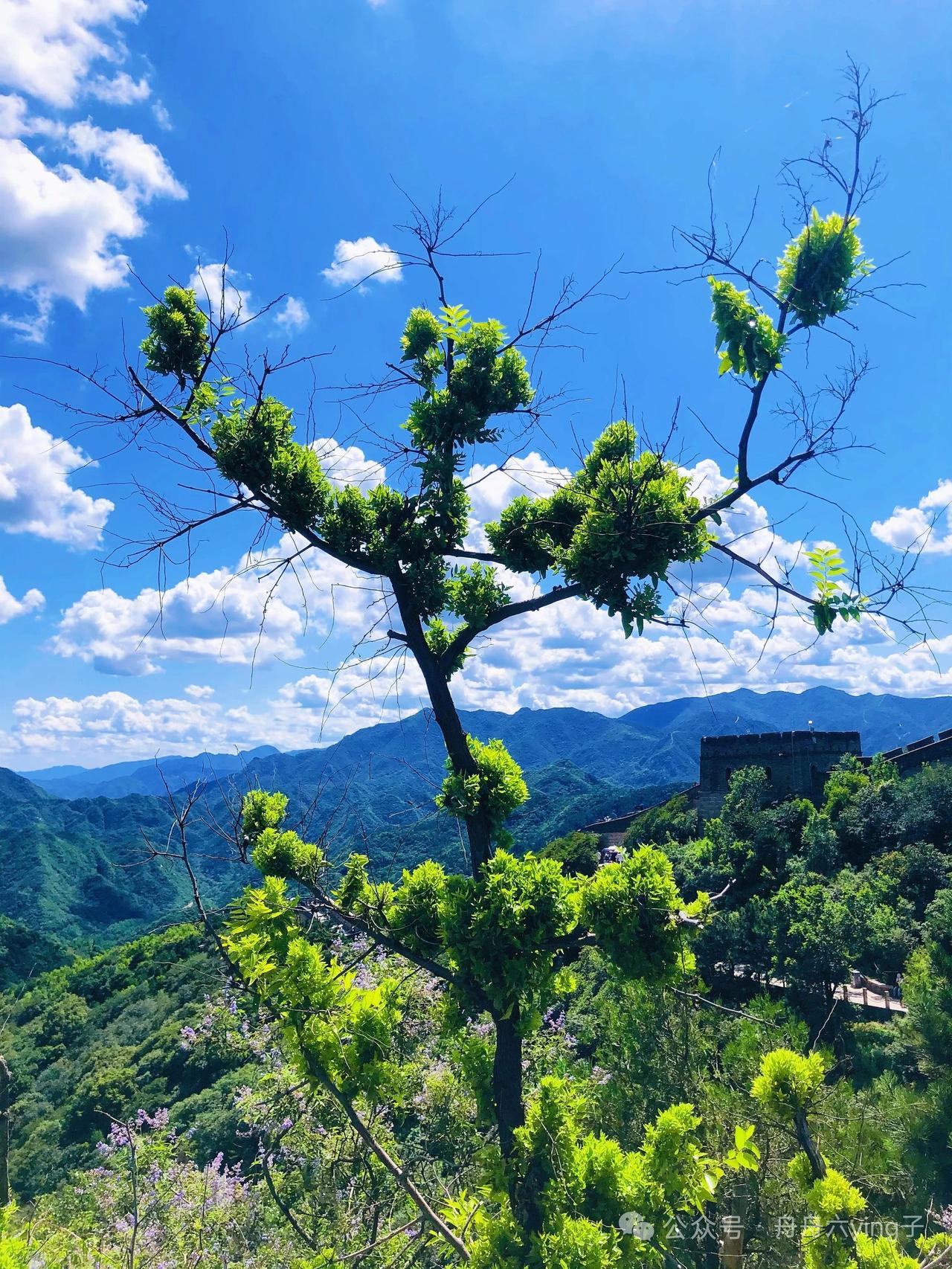 天蝎座在恋爱里很双标
就是她喜欢怎么推都推不走的恋人，
但是人一推她她就走，
只