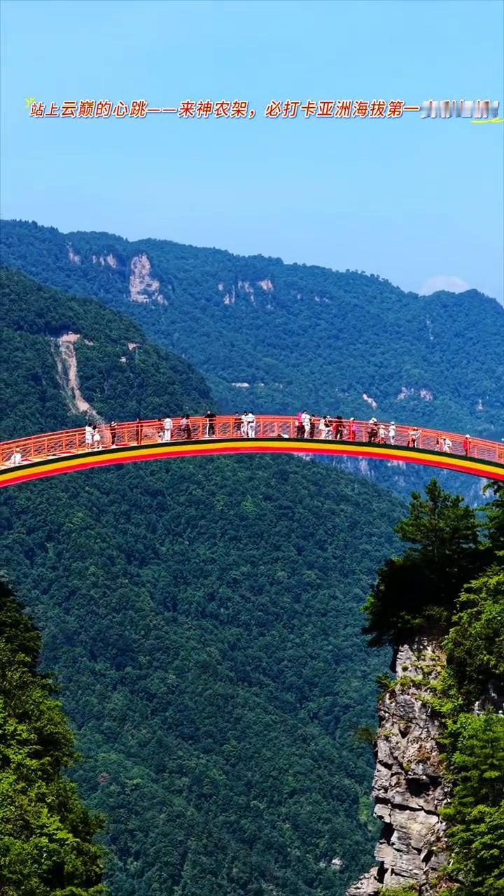 站上云巅的心跳，来神农架必打卡亚洲海拔第一高彩虹桥。