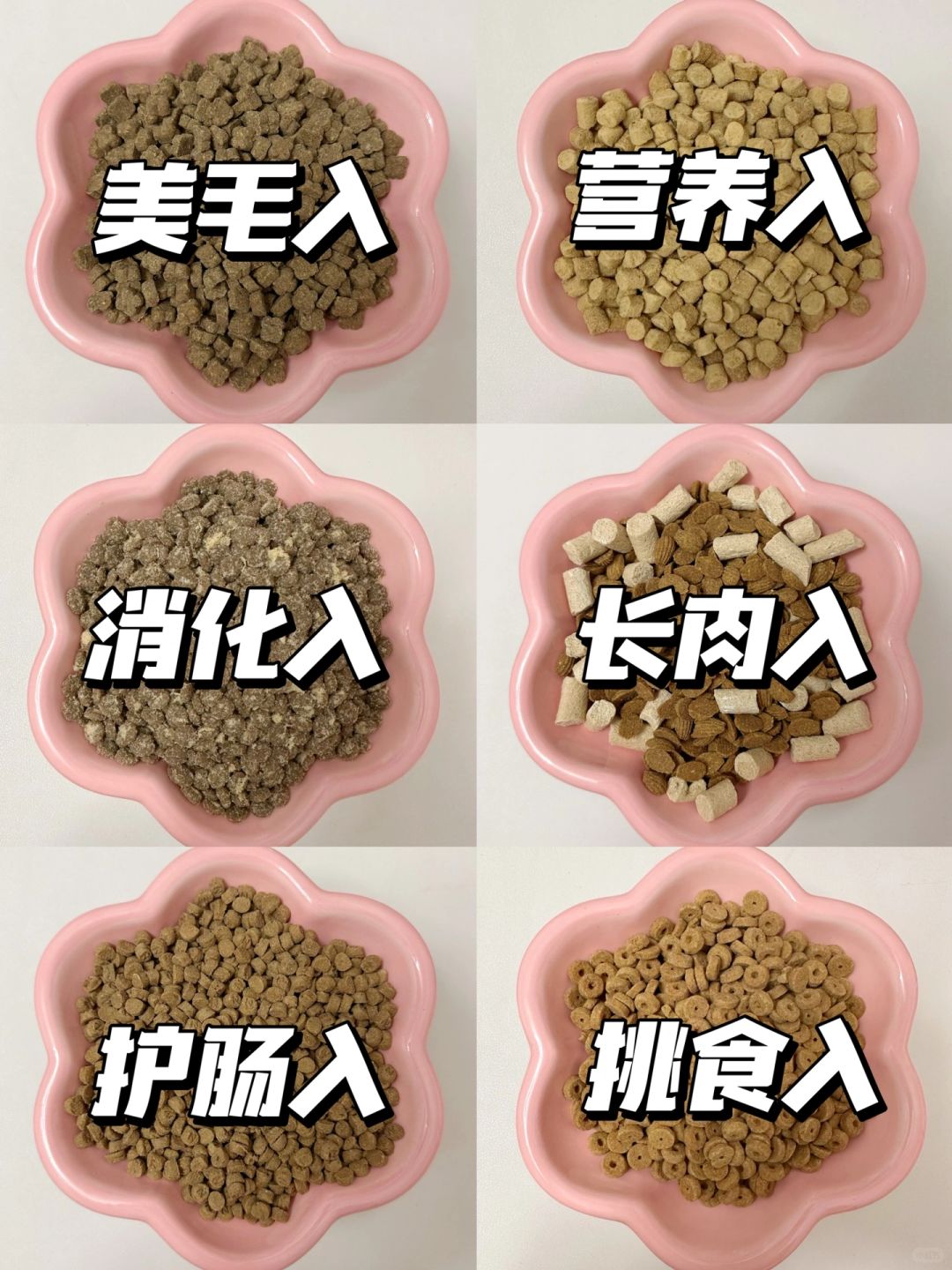 6款猫粮测评｜年底换粮囤粮分享篇❗️