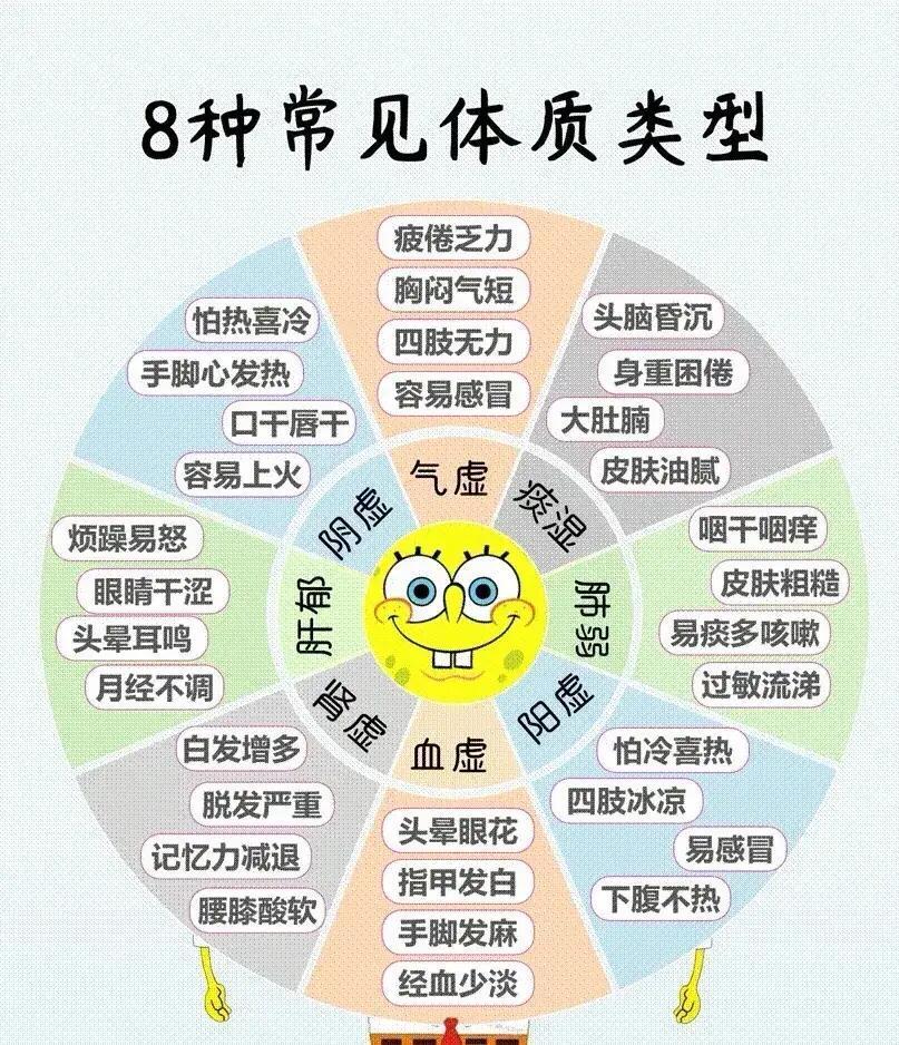 怎么判断自己是什么体质？ 