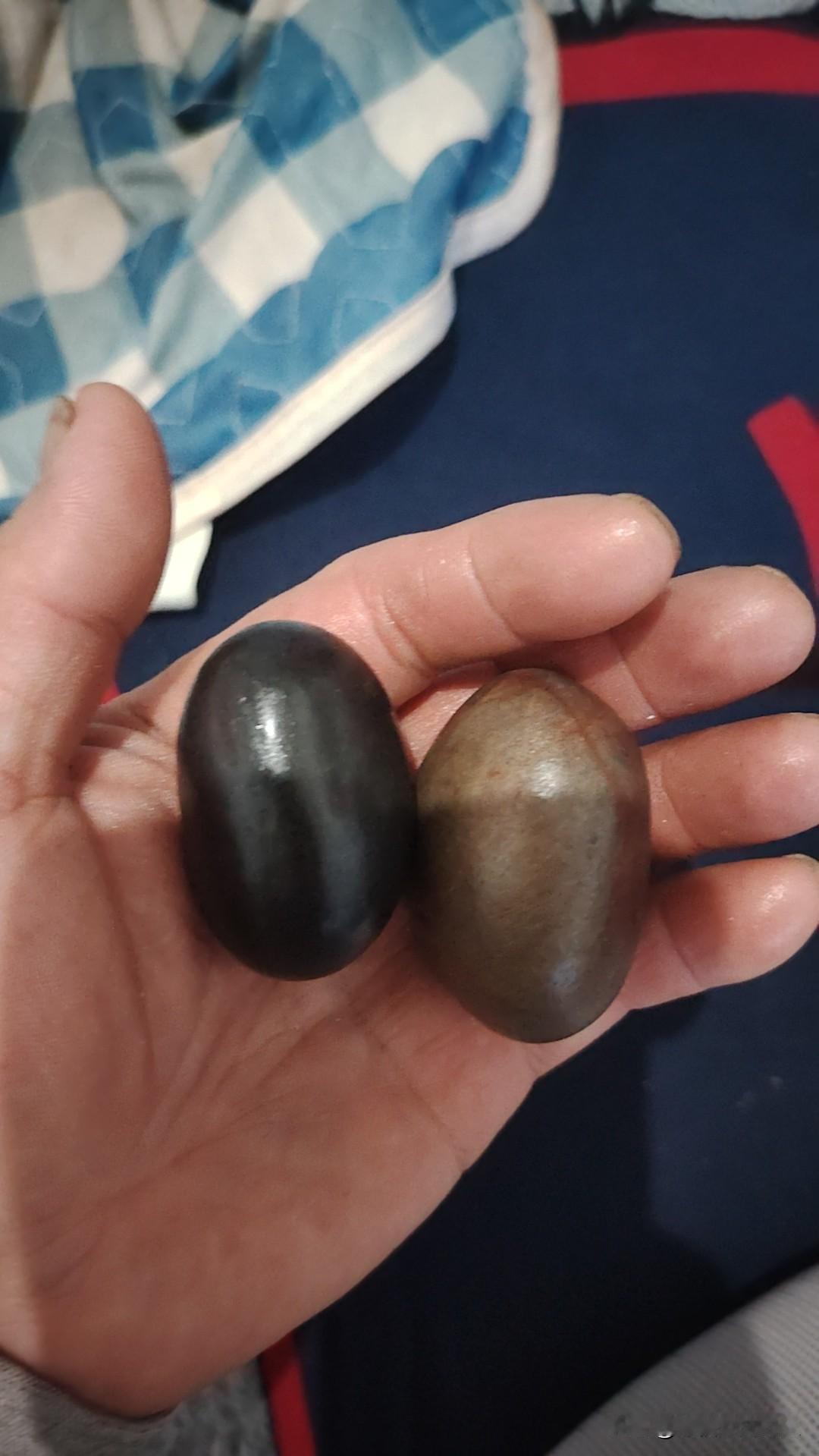 两个腰石！可以爆炒可以清蒸。出产地柬埔寨[抠鼻]一顿吃饱三天不饿