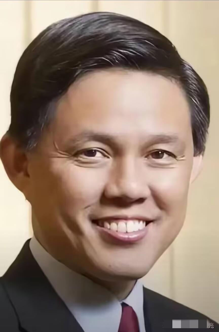 新加坡防长陈振声，5月31号对着镜头说了一段话，滴水不漏。他说：“我个人非常不喜