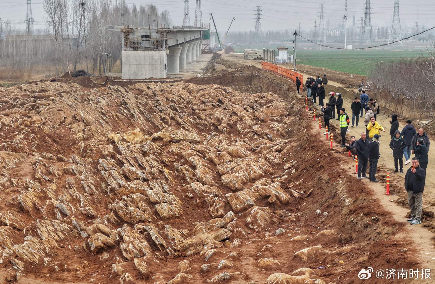 【#泰安一地发现石海#】#专家回应泰安一地现石海# 近日，济枣铁路宁阳段发现“石