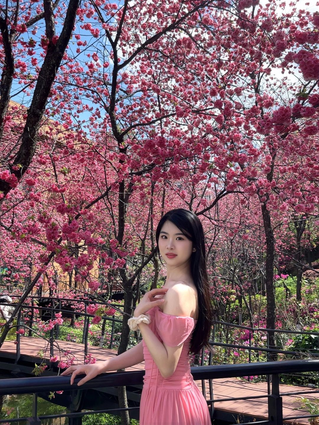 云南真的太美太美太美太美了！！！