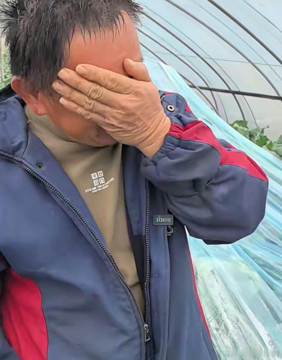 29岁儿子突发心梗离世，家里上万斤蔬菜滞销，浙江60岁大伯急哭！短短一天后……“