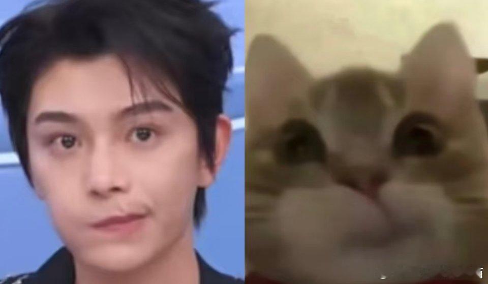 丁禹兮是猫猫塑的神吧怎么会有这么可爱的宝宝啊，萌晕了~ 