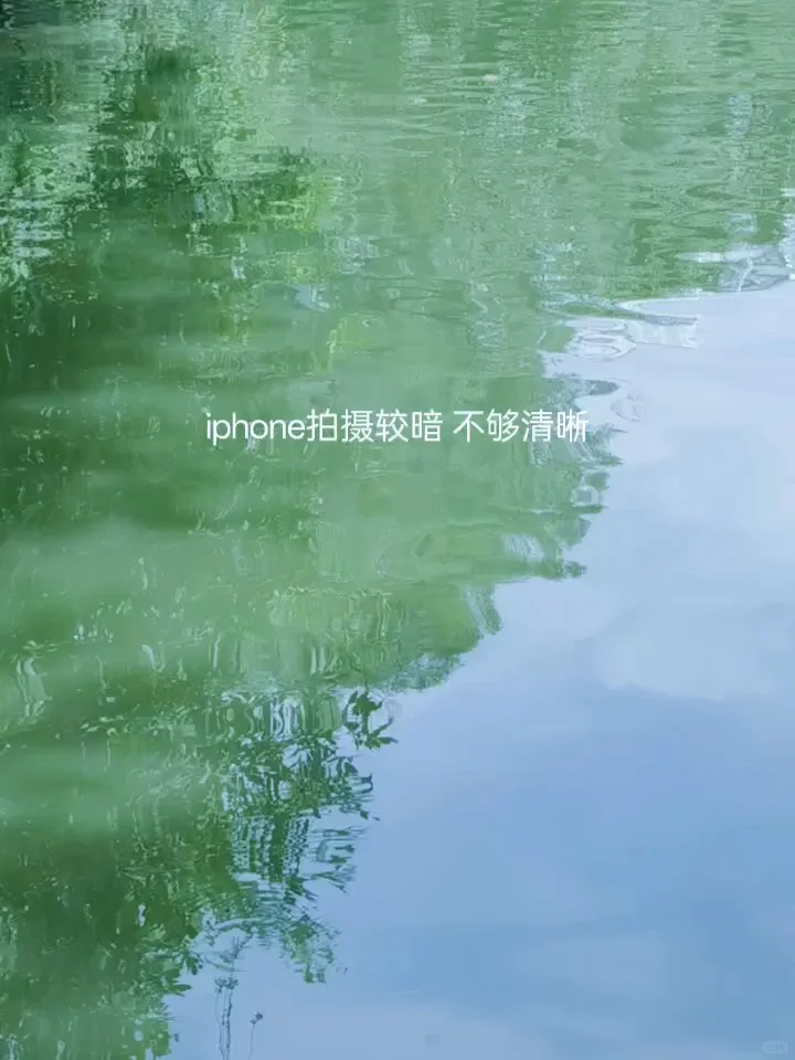 氛围感抓拍神器! live废片秒变清透高级感