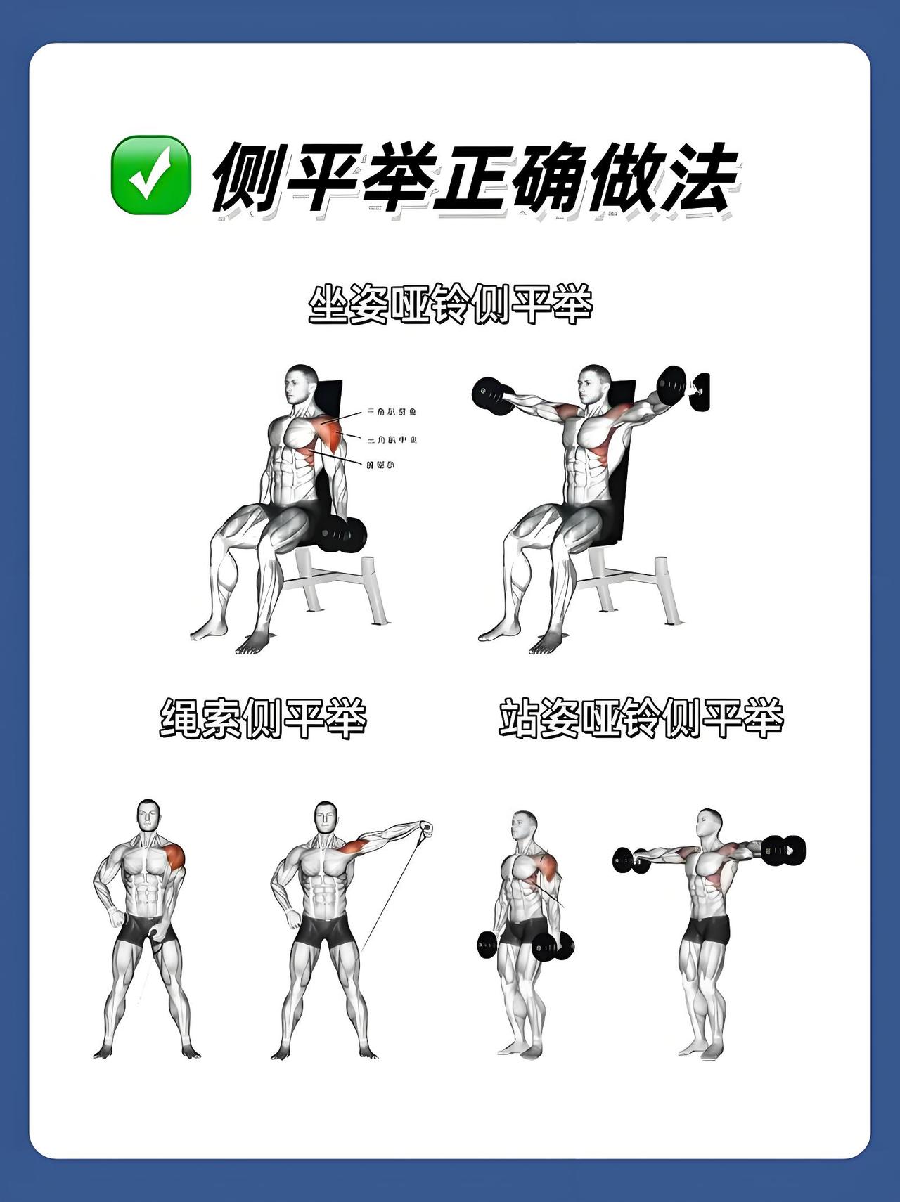 想要练个直角肩，侧平举这个动作就不能少吧
好不容易熟悉了动作去练，又是挺胸收腹 