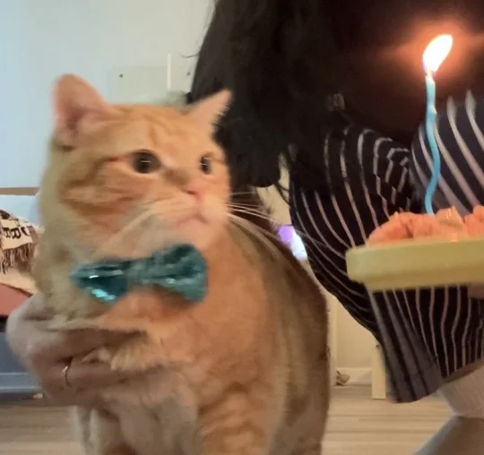 人 祝咪生日快乐🎈