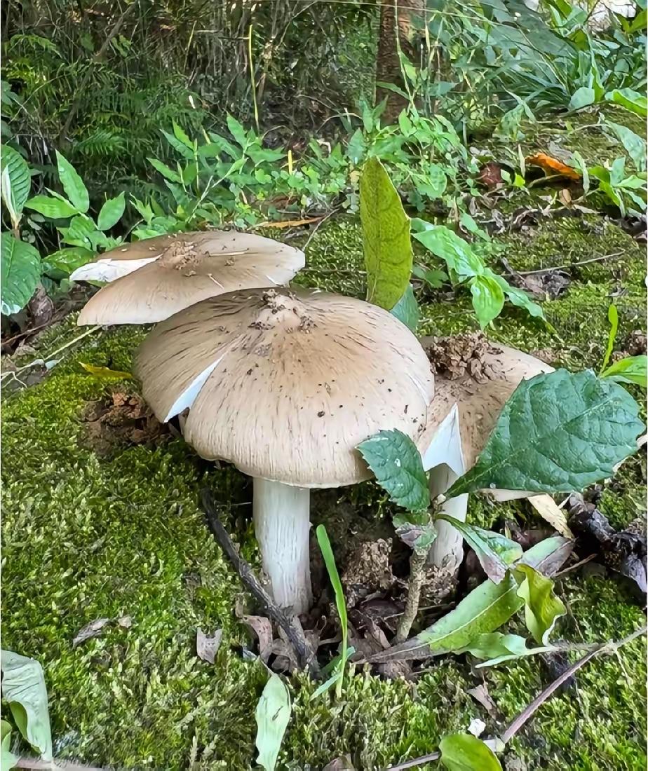 这哪是出了一口恶气，分明是拿别人的错，砸了自己家的饭碗啊！
        我同