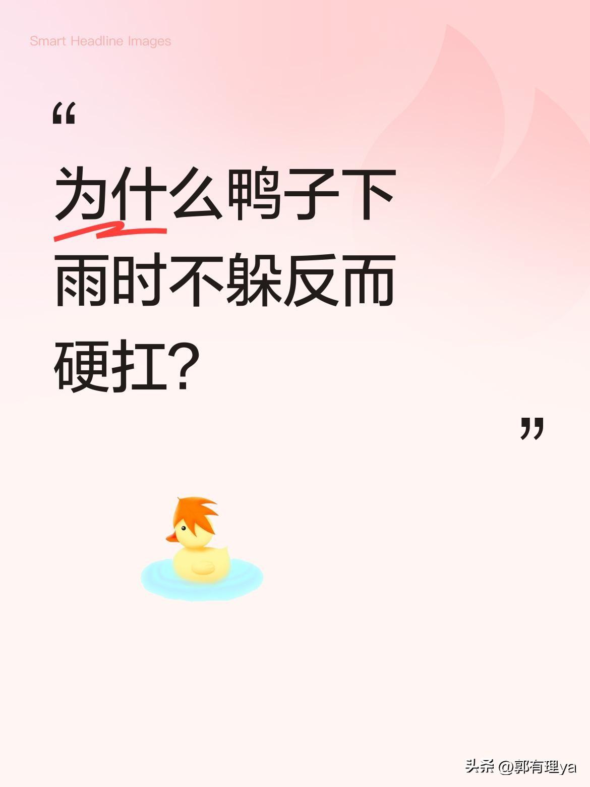 为什么鸭子下雨时不躲反而硬扛？
细心的人会发现，鸭子遇到下雨不会躲，反而挤成一团