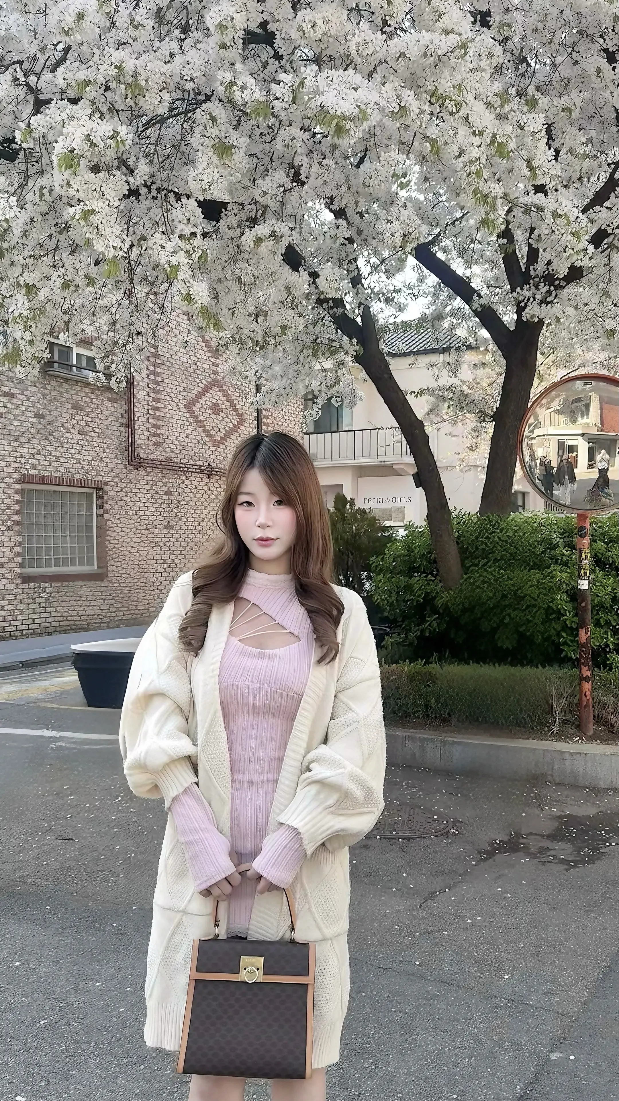 首尔樱花开的时候我们见面吧