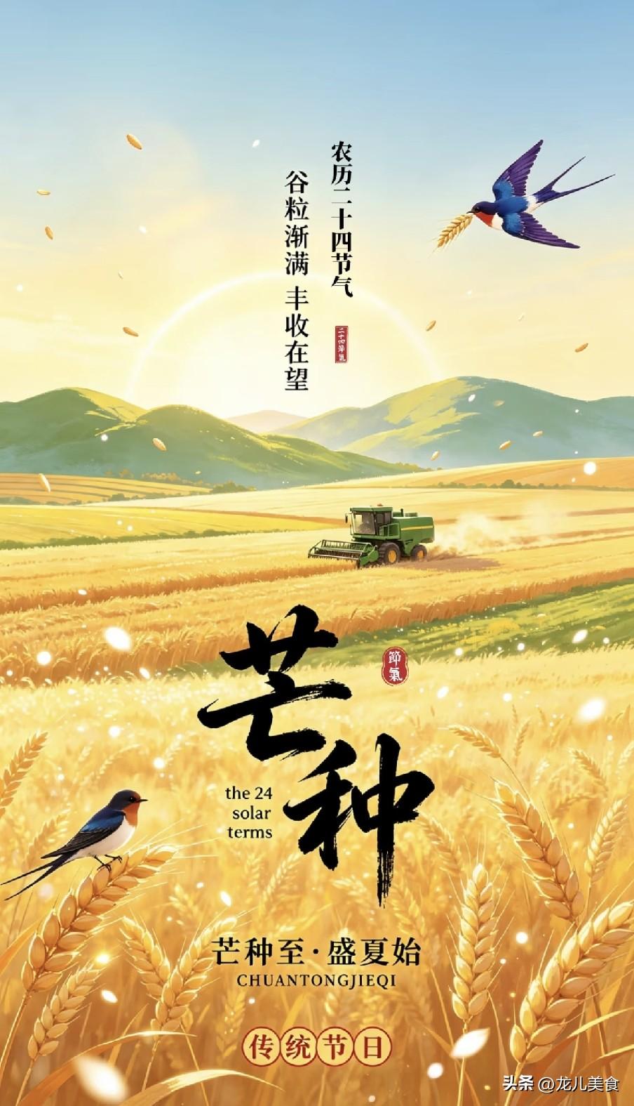 "上午芒种，雨不休；下午芒种，旱死牛"，今日芒种在几点？早知道
 
“时雨及芒种