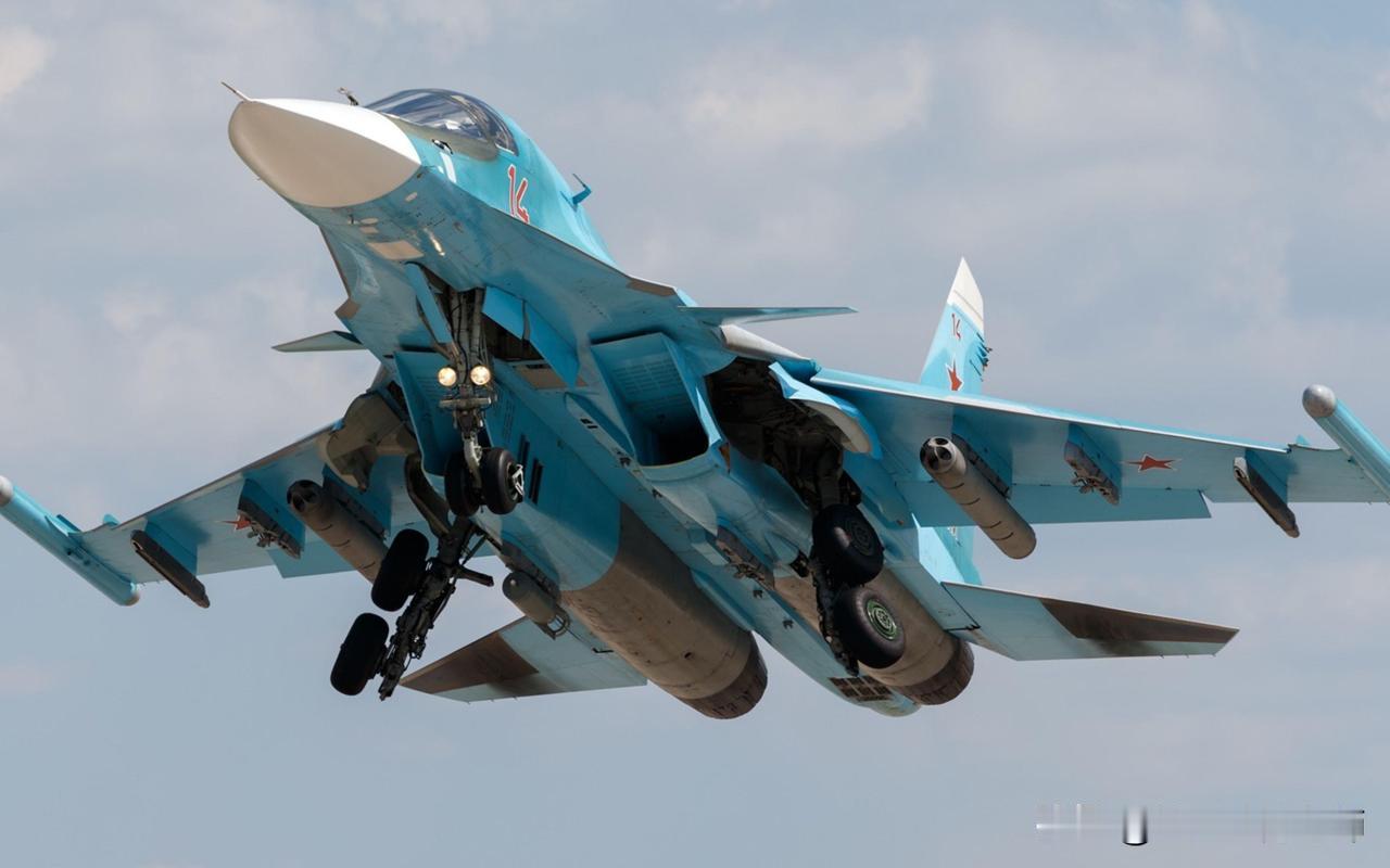 当地时间1月28日夜间，俄军一架苏34战斗轰炸机在蛇岛附近的黑海上空执行打击任务