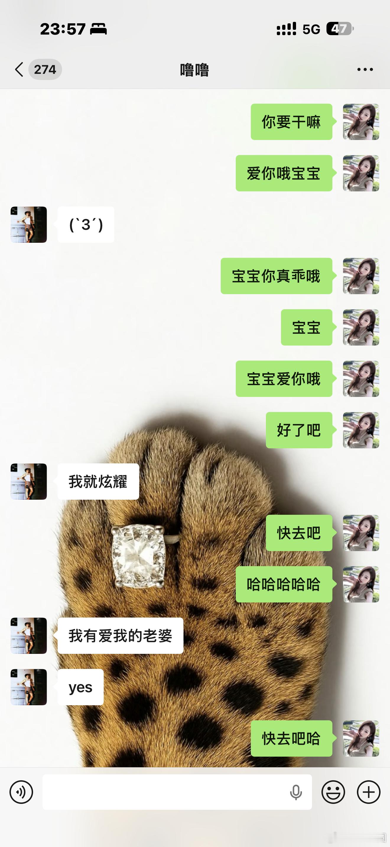 大金毛 
