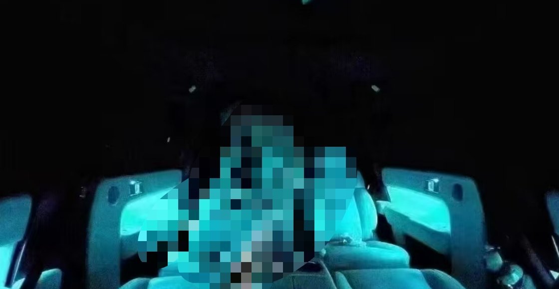 新能源车时代，玩儿的比较放得开的还是得小心啊，这。。。只能打上最厚的码了，隐私这
