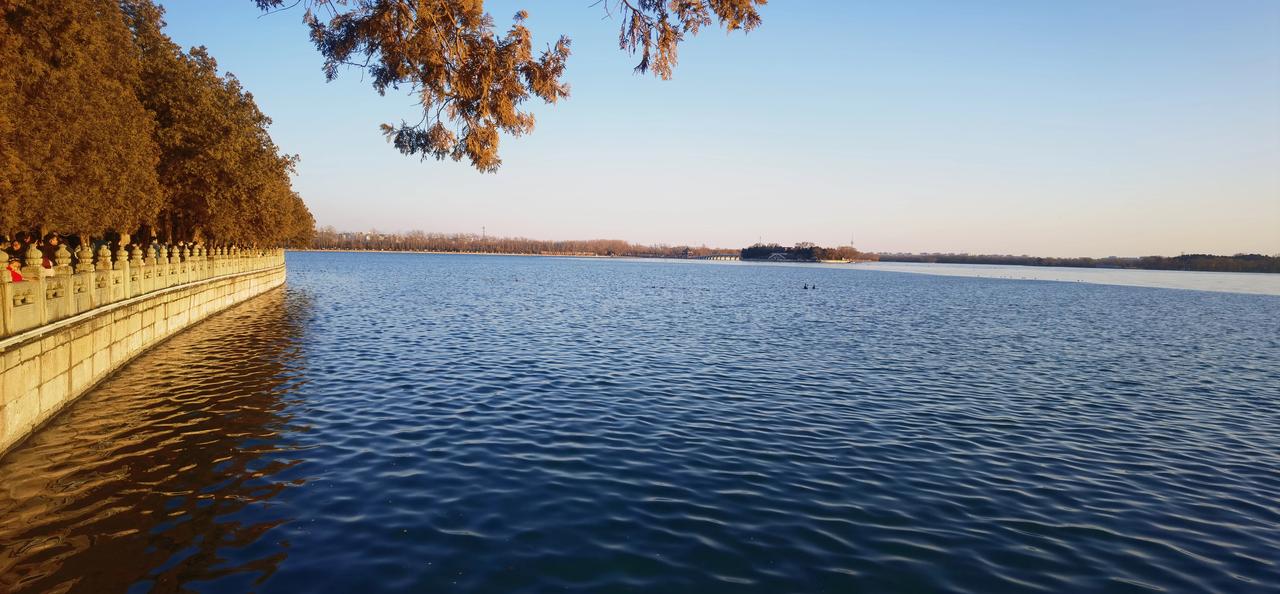 东莞二手房价格还在探底，但幅度变小，下降空间有限了。
2024年1月，东莞二手住