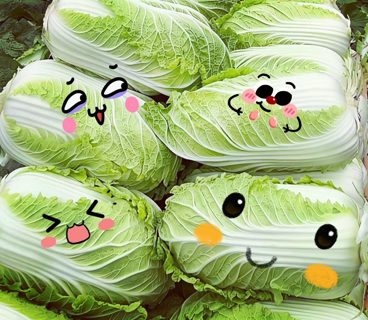 你觉得什么样的白菜好吃 你觉得白菜4元一斤贵吗白菜价格一路飙升，我这是要跟白菜“