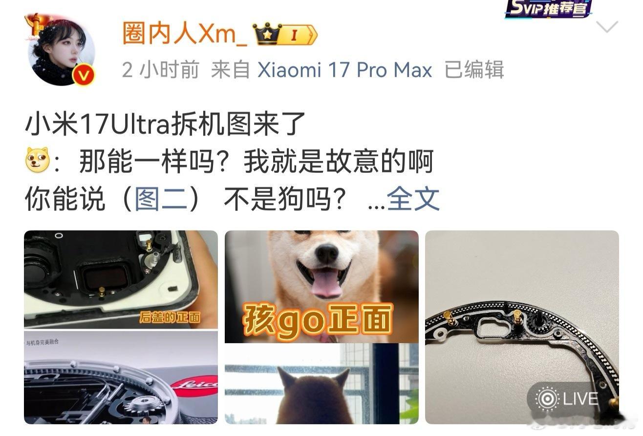 整齐划一，前几天的晃动，也没见它们全军出击啊 