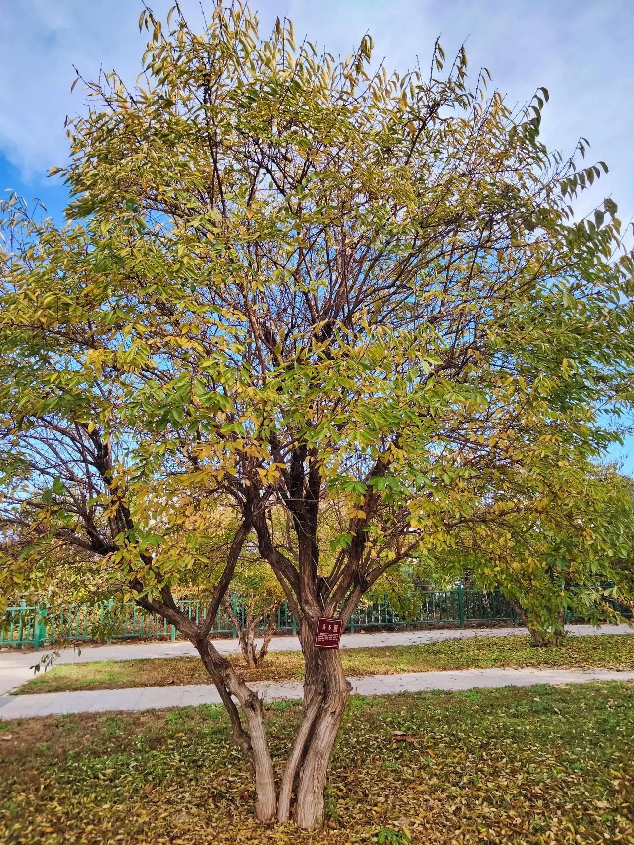 混迹职场几十年，其实咱只是个打酱油的

有人在冲锋陷阵，逢山开路，遇水搭桥时，自