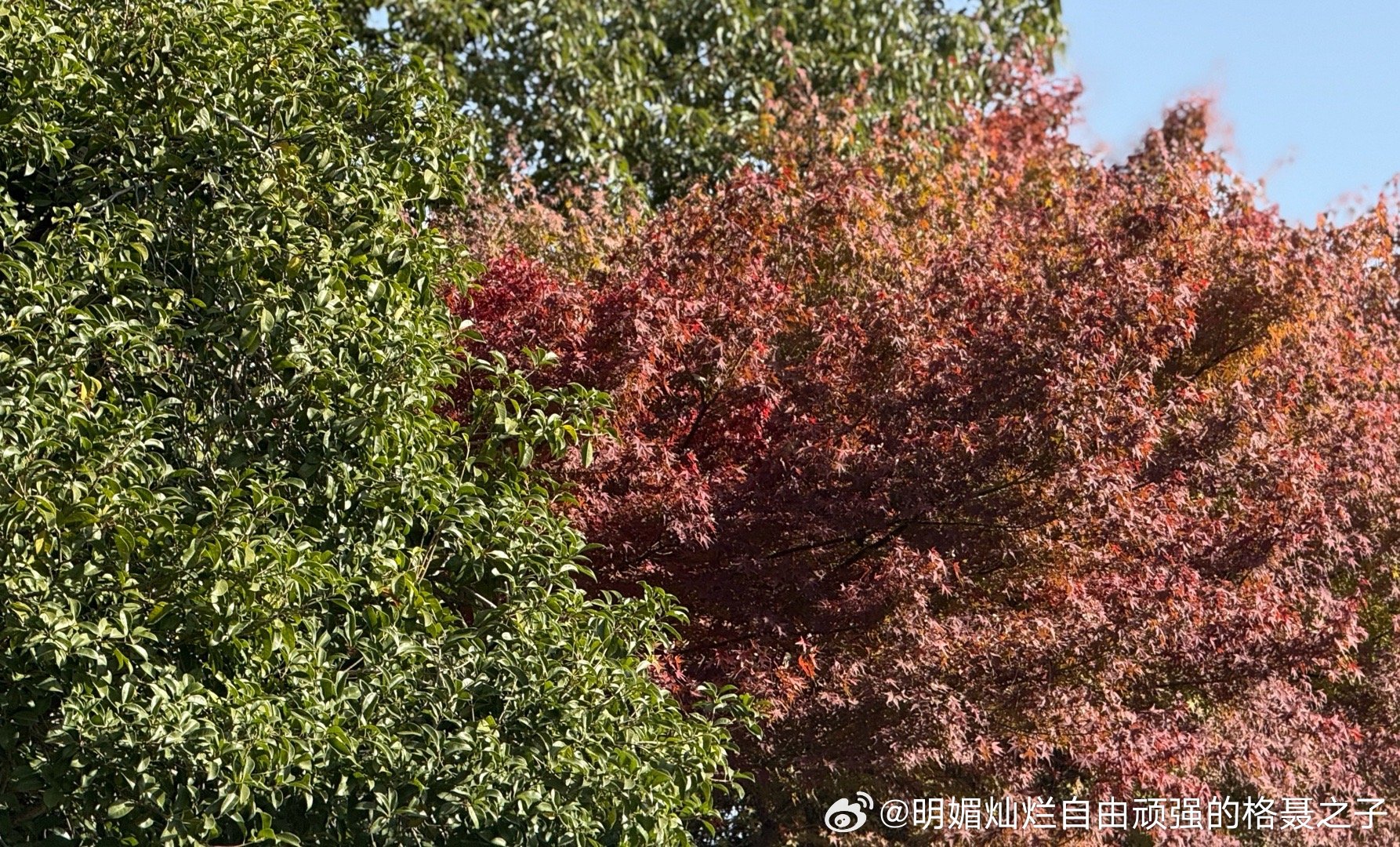 中午必须从写字楼里出来，看看外面的天空 