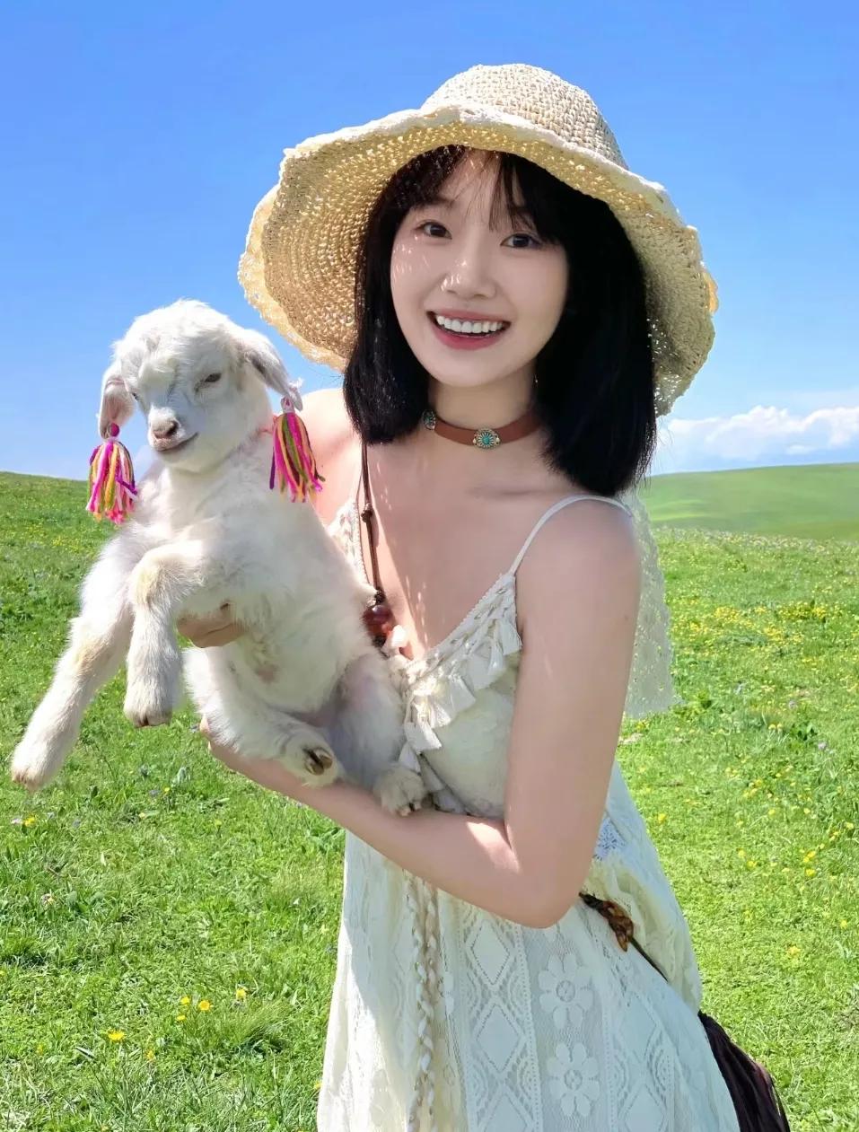 草原的风吹动着羊儿，你我的心在跳动。