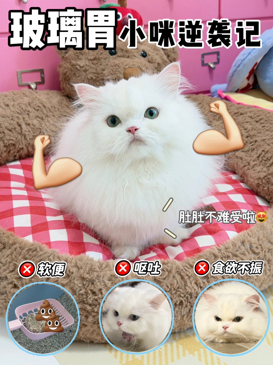 玻璃胃小猫上岸🙋🏻‍♀️我只做对了一件事