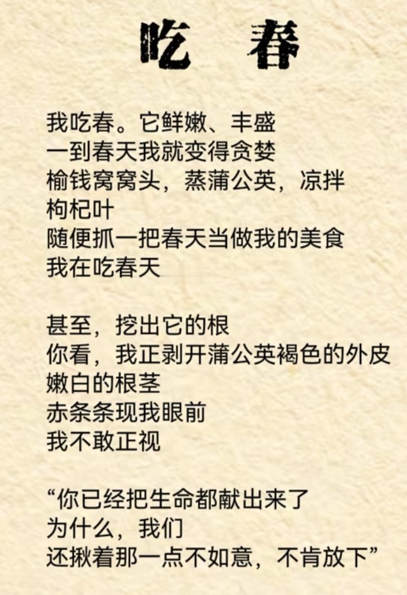 椿树芽尖，那可是春天独有的美味！温度渐高，各种野菜登场，椿树芽就是其中的明星。它
