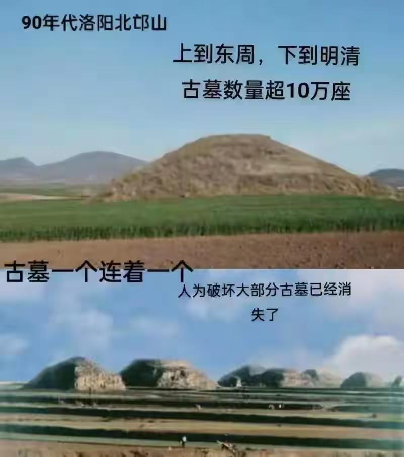 盾构机挖隧道，脚下有古墓，毫米级沉降能护砖？邙山隧道新规矩？

5月29日，在洛