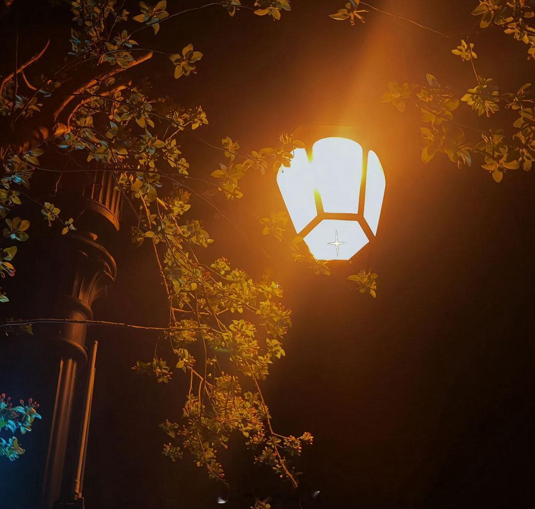 "后来，我放下了执念和不甘，也许仍有爱意，但已无能为力…"晚安💤 