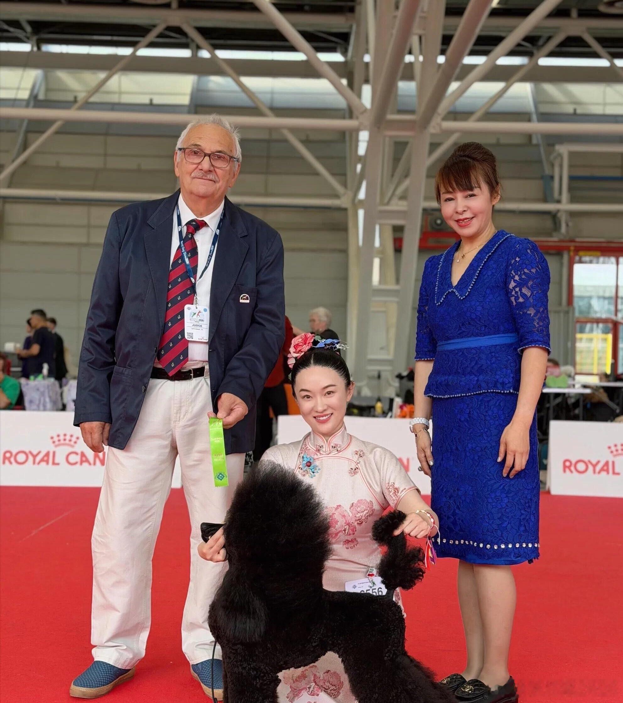 霍思燕发蜜蜡比赛vlog霍思燕真是像养孩子一样养狗狗小蜜蜡，主要是她有爱心，狗狗