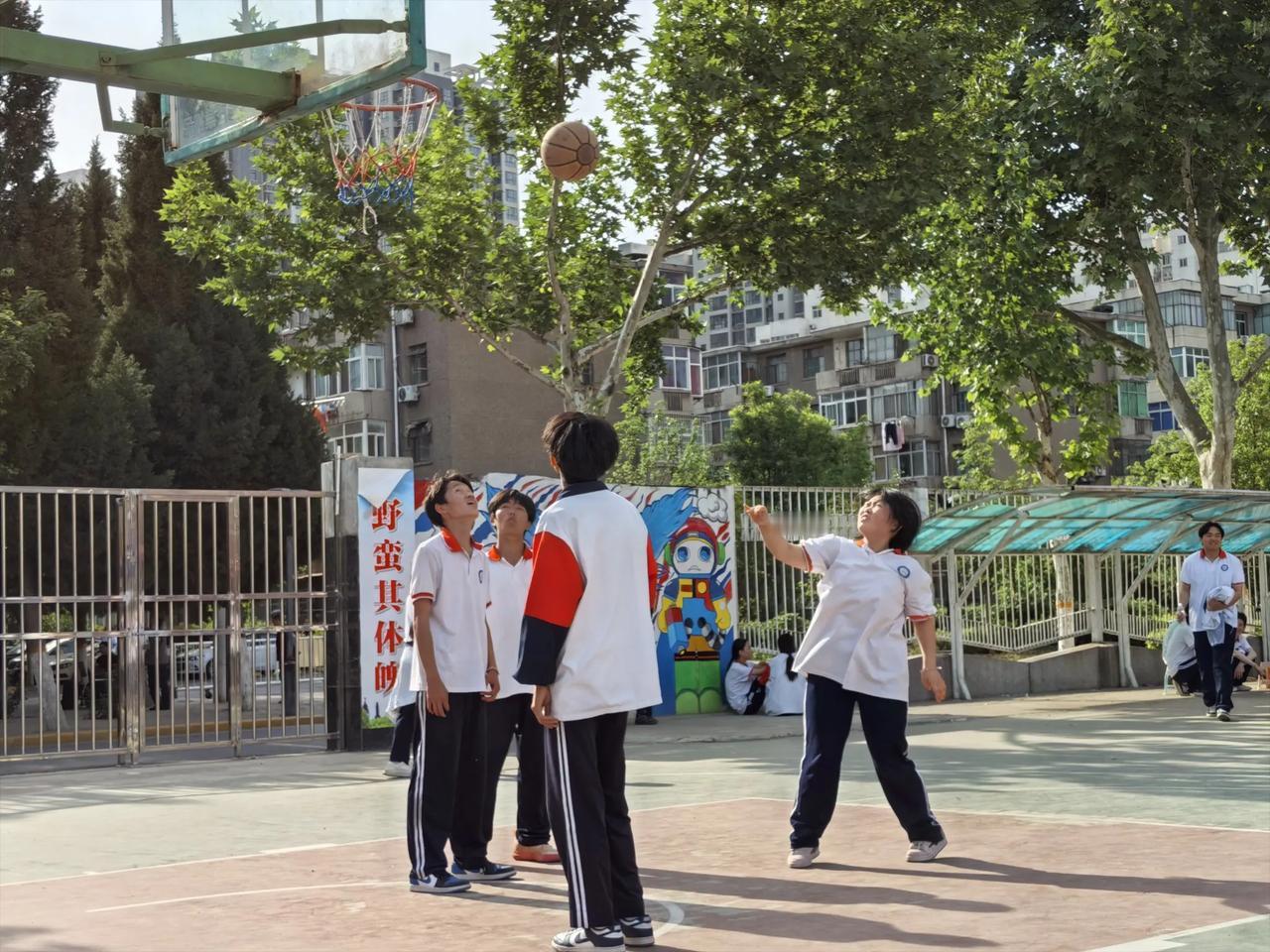 二分投篮