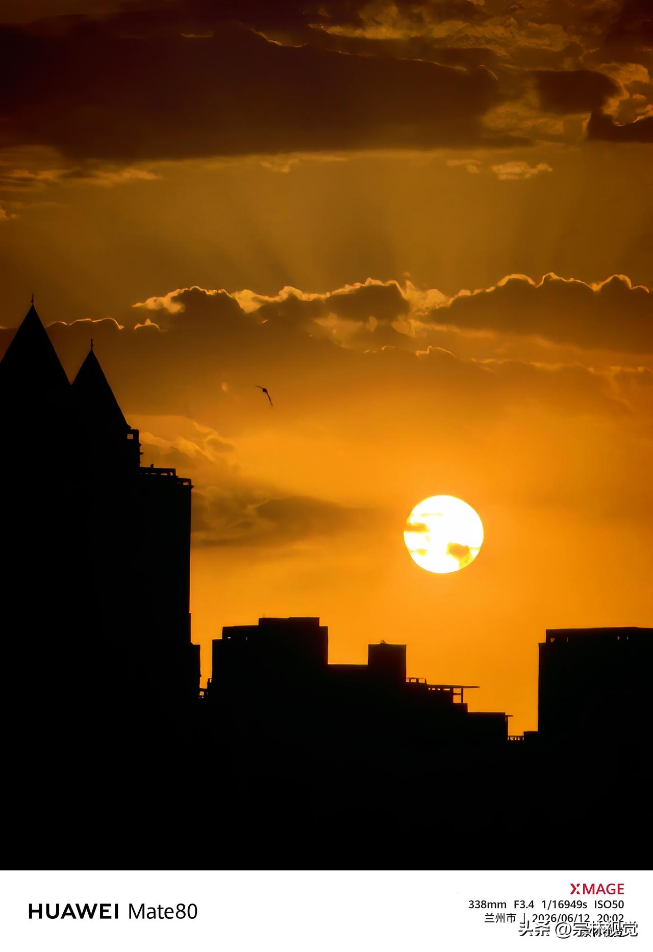 随手拍一张夕阳西下翱翔夕阳里