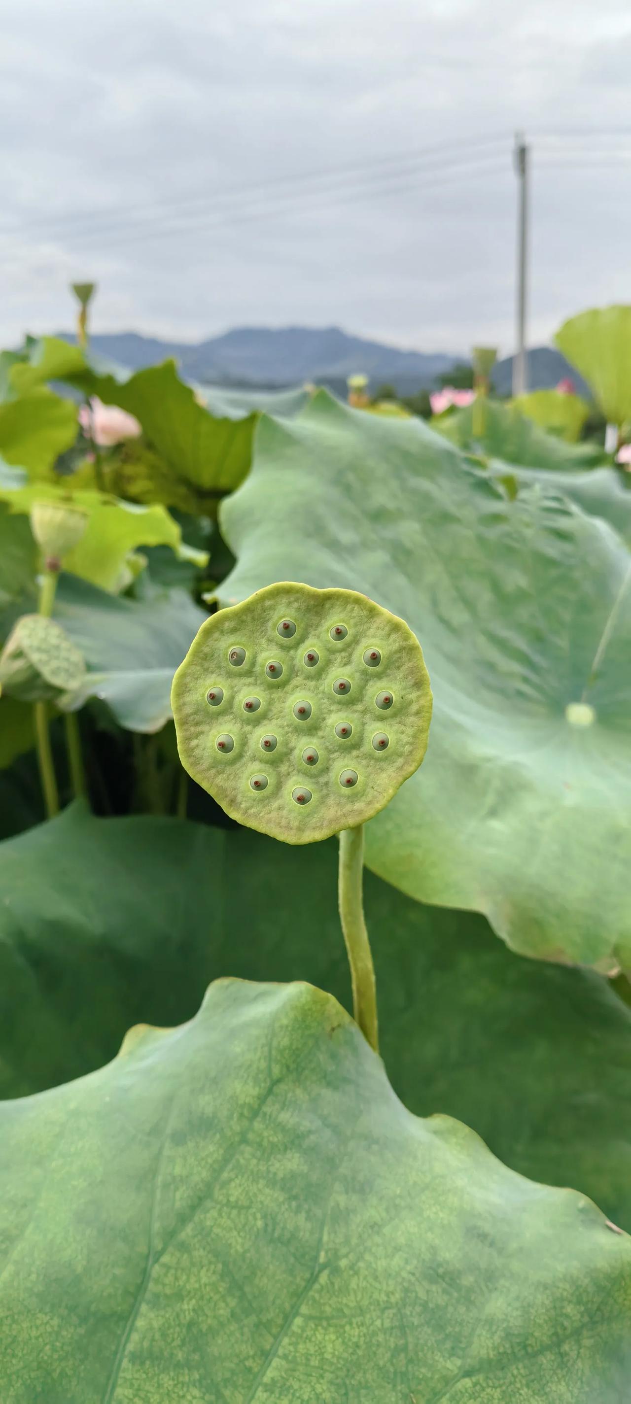 十几年前在他小舅子的一次家宴中认识了他，原来他和我住在一个小区，相隔几十米。与其