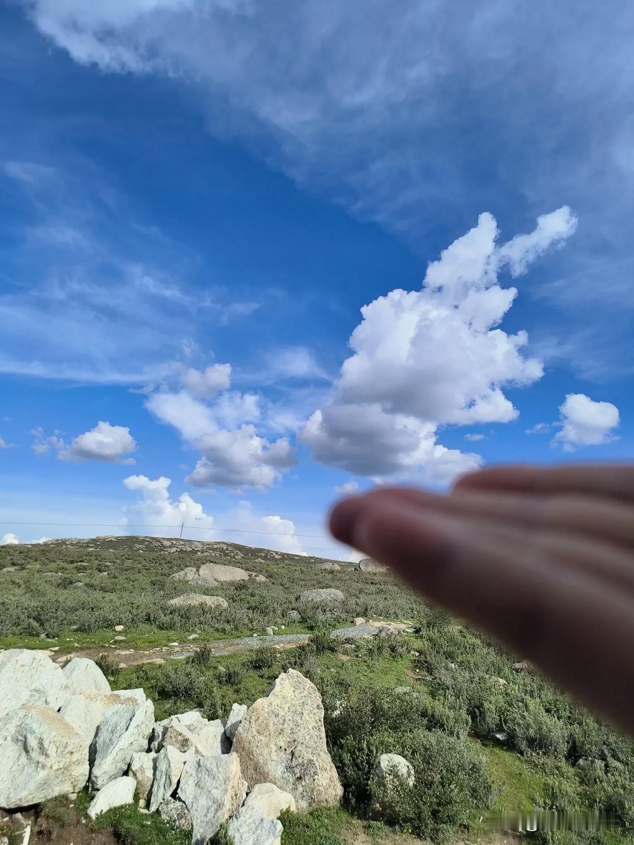 有时候找点肤浅的快乐也是为了预防抑郁[我想静静]。比如8卦，我最近特别8卦，因为