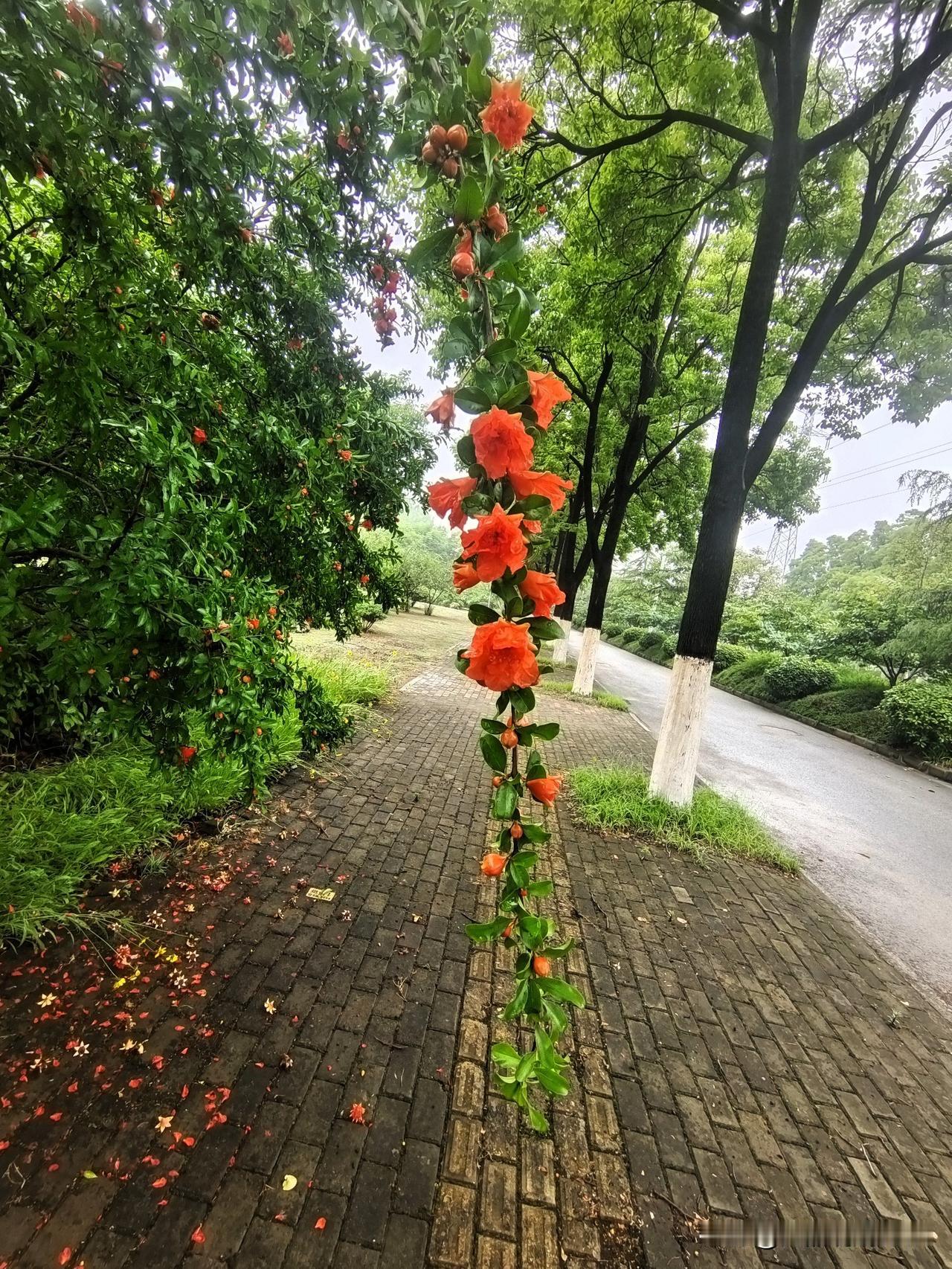 在饭局上,应该如何说话?

在饭局上
谁有钱谁说话
谁有权谁说话
这叫财大官大