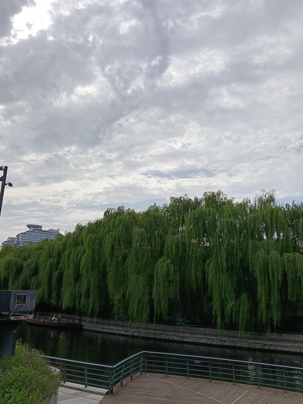 夏日生活打卡季蓝色港湾风景秀丽